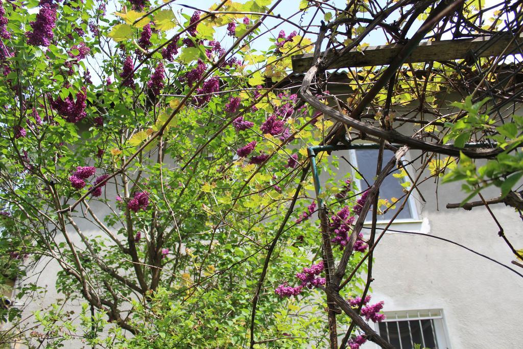 Apartment On Zaliznychna Leópolis Exterior foto
